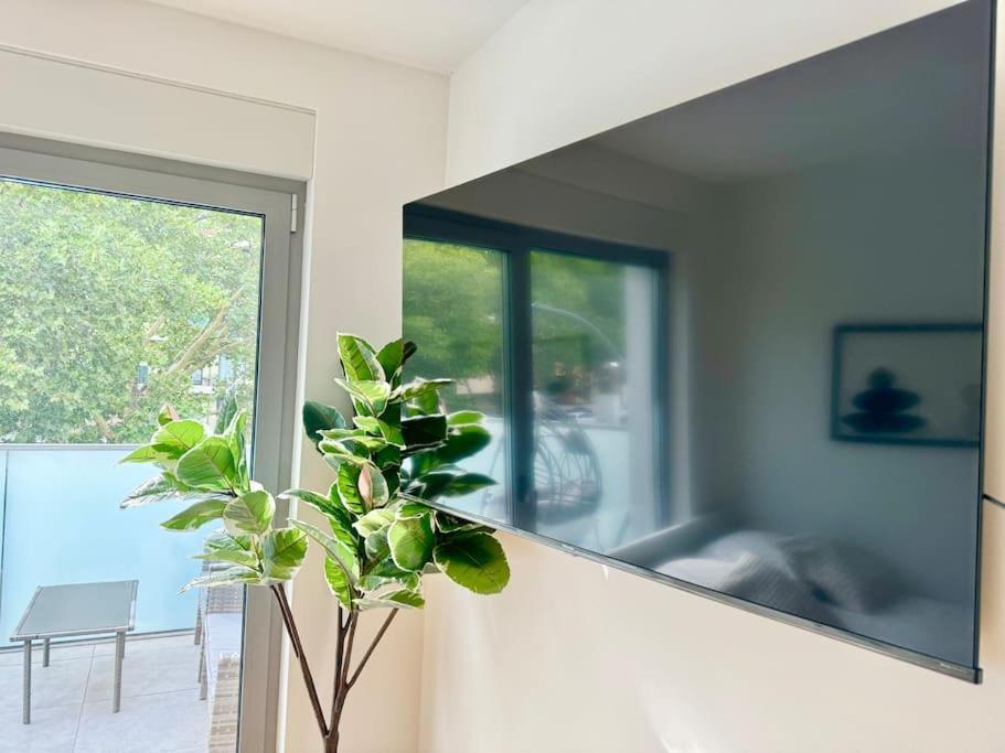 וינה Rooftop Apartment With Balcony & Free Parking מראה חיצוני תמונה