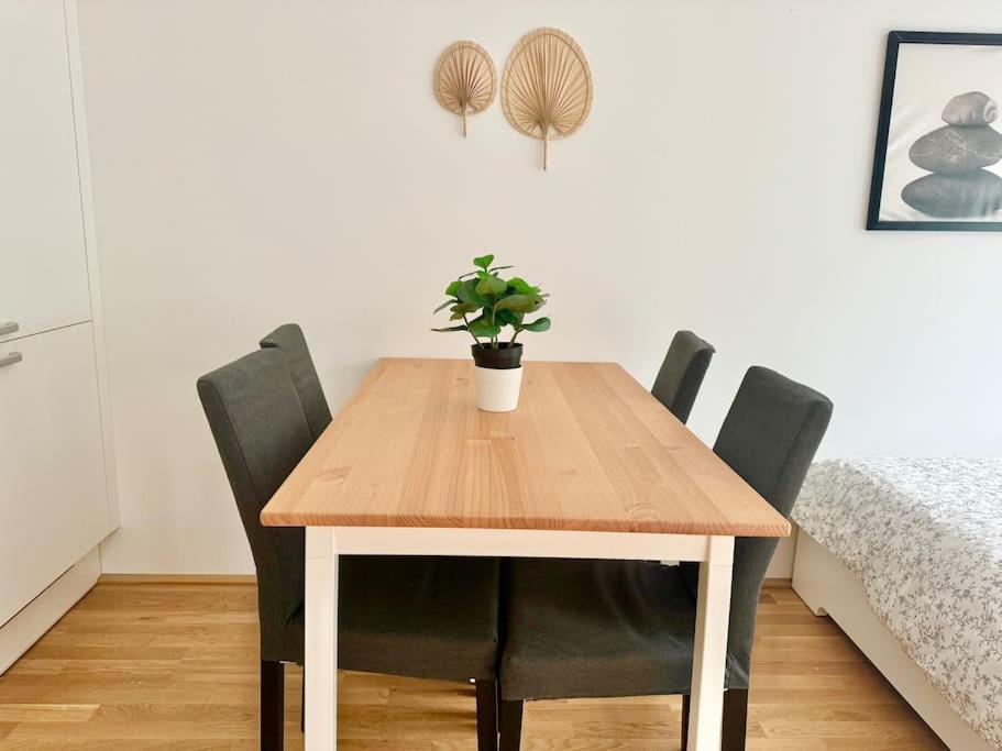 וינה Rooftop Apartment With Balcony & Free Parking מראה חיצוני תמונה